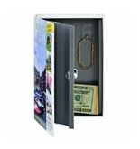 STEELMASTER Travel Book Safe with Keyed Lock, 9.44 x 6.18 x 2.22 Inches, Multicolored (221269203)