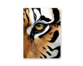 ECOeverywhere Tiger Eye Journal, 160 Pages, 7.625 x 5.625 Inches, Multicolored (jr12330)