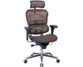 Eurotech Ergohuman Mesh Chair - 18.1A"22.9" Seat Height - Hi...