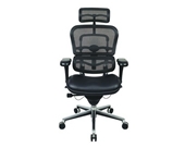 Eurotech Ergohuman Mesh Chair w/Leather Seat and Headrest