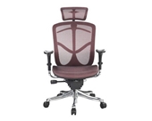 Eurotech Fuzion High Back Red Mesh Chair w/ Aluminum Base