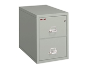 Fireproof Two Drawer Legal Size Vertical File 31"D Platinum
