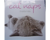 Leap Year Cat Naps: 2012 Wall Calendar
