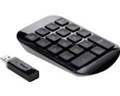 Targus Wireless Numeric Keypad, Black with Gray (AKP11US) [CD-ROM]