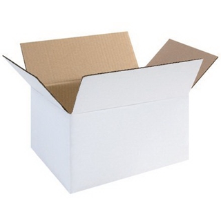 11 1/4" x 8 3/4" x 6" White Corrugated Boxes (Bundle of 25)