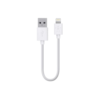 Belkin Lightning to USB ChargeSync Cable for iPhone 5 / 5S / 5c, iPad 4th Gen, iPad mini, and iPod touch 7th Gen, 6 Inches (White)