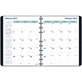 Blueline 2012 MiracleBind Monthly Planner, 17 months (Aug-Dec), Black, 11 x 9.0625-Inches (CF1512.81T)