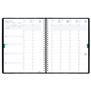 Blueline Weekly Academic Planner, July 2012 - July 2013, Twin-Wire, 11 x 8.5-Inches, Black, 1 Planner (CA109.81T)