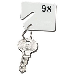 Buddy Products Plastic Key Tags, Numbered 61-100, White (0033)