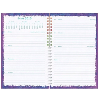 Day-Timer Flavia Weekly and Monthly Wire-Bound Personal Organizer, 5.5 x 8.5 Inches, January 2013 Start (D09420-1301)