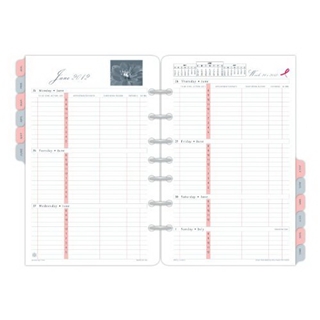 Day-Timer Pink Ribbon 2-Page-Per-Week Refills, Desk Size, 5.5 x 8.5 Inches, January - December 2012 (D14210-1201)
