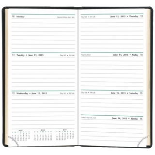 Day-Timer Slim Weekly Planner, Black, 3.375 x 6.25 Inches, January 2013 Start (D13551-1301)