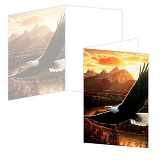 ECOeverywhere Soaring Birthday Boxed Card Set, 12 Cards and Envelopes, 4 x 6-Inches, Multicolored (bc11321)