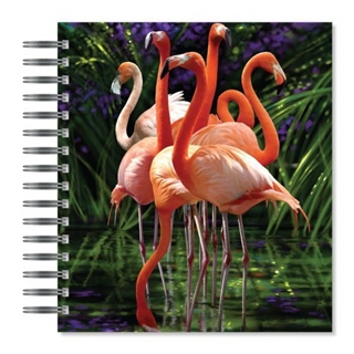 ECOeverywhere Watchful Flock Picture Photo Album, 18 Pages, Holds 72 Photos, 7.75 x 8.75 Inches, Multicolored (PA11642)