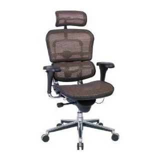 Eurotech Ergohuman Mesh Chair - 18.1A"22.9" Seat Height - High-Back Chair With Headrest - Copper