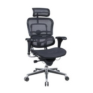 Eurotech Ergohuman Mesh Chair - 18.1A"22.9" Seat Height - High-Back Chair With Headrest - Gray