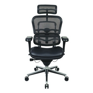 Eurotech Ergohuman Mesh Chair w/Leather Seat and Headrest