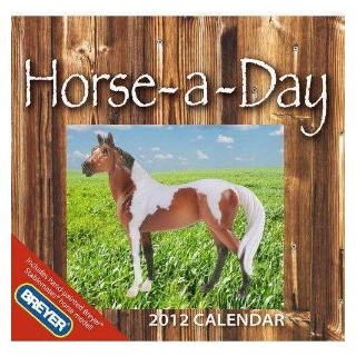Horse-a-Day 2012 Boxed Calendar