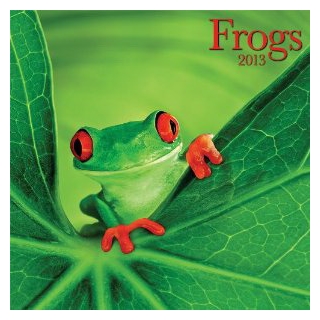 Perfect Timing - Avalanche, 2013 Frogs Wall Calendar (7001507)