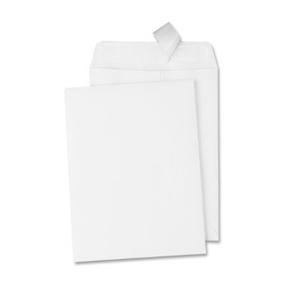 Quality Park Catalog Envelope, 6 inches x 9 inches, White, Redi-Strip, 100 Envelopes (44182)