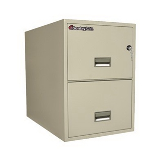 Sentry Safe Two-Drawer Fire and Water-Resistant Vertical Letter File, 17" W x 31" D, White Glove Delivery 2T3131PWG