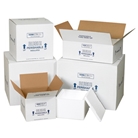 12" x 10" x 5" Insulated Shipping Containers (4 Per Case)