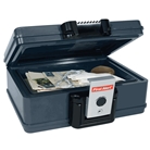 First Alert 2013F Fire and Water Chest, 0.17 Cubic Foot