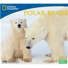 2014 National Geographic Polar Bears Deluxe Wall Calendar