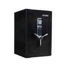First Alert 2484DF Fire Resistant Executive Safe with Digita...