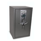 First Alert 2583DF Fire Resistant Executive Safe with Digita...