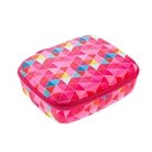 Lunch Box, Pink Triangles