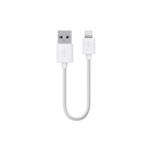 Belkin Lightning to USB ChargeSync Cable for iPhone 5 / 5S /...