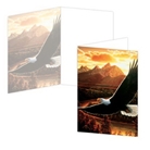 ECOeverywhere Soaring Birthday Boxed Card Set, 12 Cards and ...