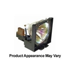 Electrified POA-LMP109 / 610-334-6267 Replacement Lamp with ...
