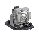 Electrified POA-LMP117 / 610-335-8406 Replacement Lamp with ...