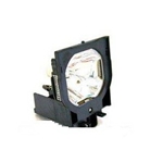 Electrified POA-LMP49 / 610-300-0862 Replacement Lamp with H...
