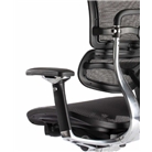 Ergohuman V2 Chair High Back with Black Frame and Mesh