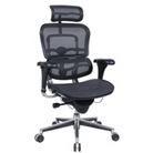 Eurotech Ergohuman Mesh Chair - 18.1A"22.9" Seat Height - Hi...