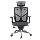 Eurotech Fuzion High Back Black Mesh Chair w/ Aluminum Base