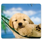 Fellowes 5913901, Recycled Optical Mouse Pad, Non-Skid, Dogs...