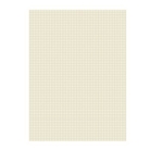 Pacon Quadrille Ruled Heavyweight Drawing Paper, 1/4" Square...
