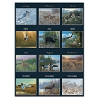 Perfect Timing - Lang 2013 Beyond The Woods Wall Calendar (1...