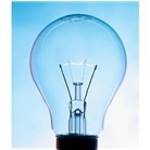 Replacement Bulb 15 Watt for Plug-in Warmer