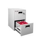 Sentry 2B2100 Water Resistant Fire File Cabinet