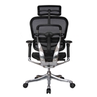 Ergohuman V200HRBLK Chair with Headrest in Black Mesh and Bl...