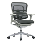 Ergohuman V210MEBLK Chair with Black Mesh and Grey Frame