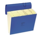 Wilson Jones ColorLife Expanding File, Without Flap, Monthly...