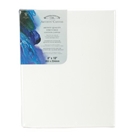 Winsor Newton 8-Inch by 10-Inch Artists Quality Stretched Ca...